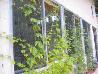 DSCN4176.JPG