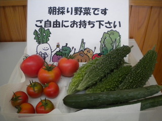 DSCN4184.JPG