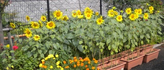 DSCN4273.jpg