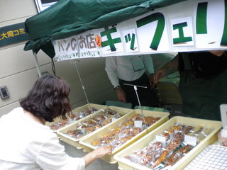 DSCN4789.JPG