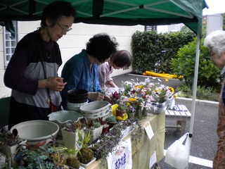 DSCN4808.jpg