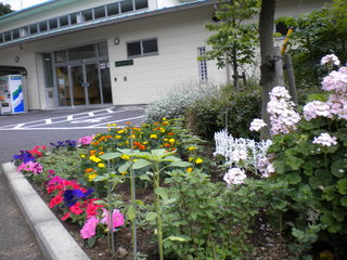 DSCN4897.JPG
