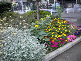 DSCN4921.JPG