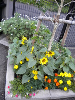 DSCN4925.JPG
