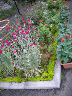 DSCN4926.JPG