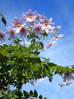 DSCN5179.JPG