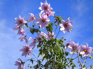 DSCN5181.JPG