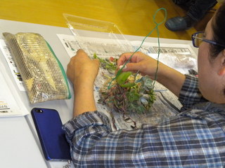 DSCN5197.JPG