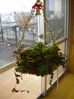 DSCN5204.JPG