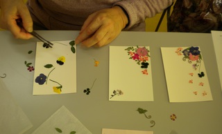 DSCN5224.jpg