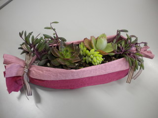 DSCN5344.JPG