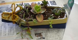 DSCN5349.JPG