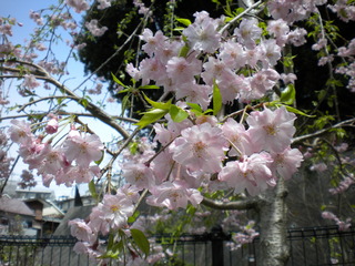 DSCN6256.JPG