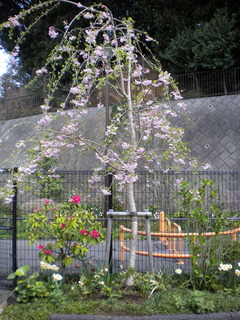 DSCN6257.JPG