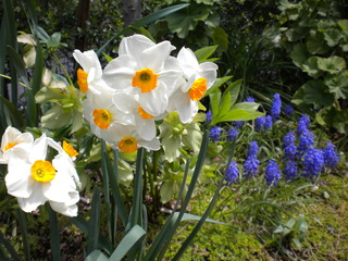 DSCN6260.JPG