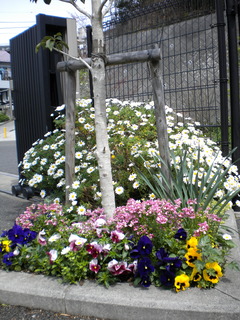 DSCN6261.JPG