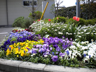 DSCN6264.JPG