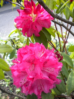 DSCN6270.JPG