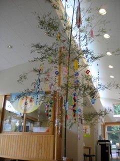 DSCN6515.JPG