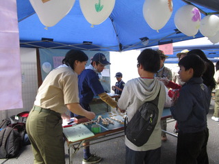 IMG_1216.JPG
