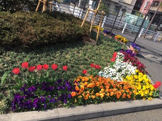 IMG_1845.JPG